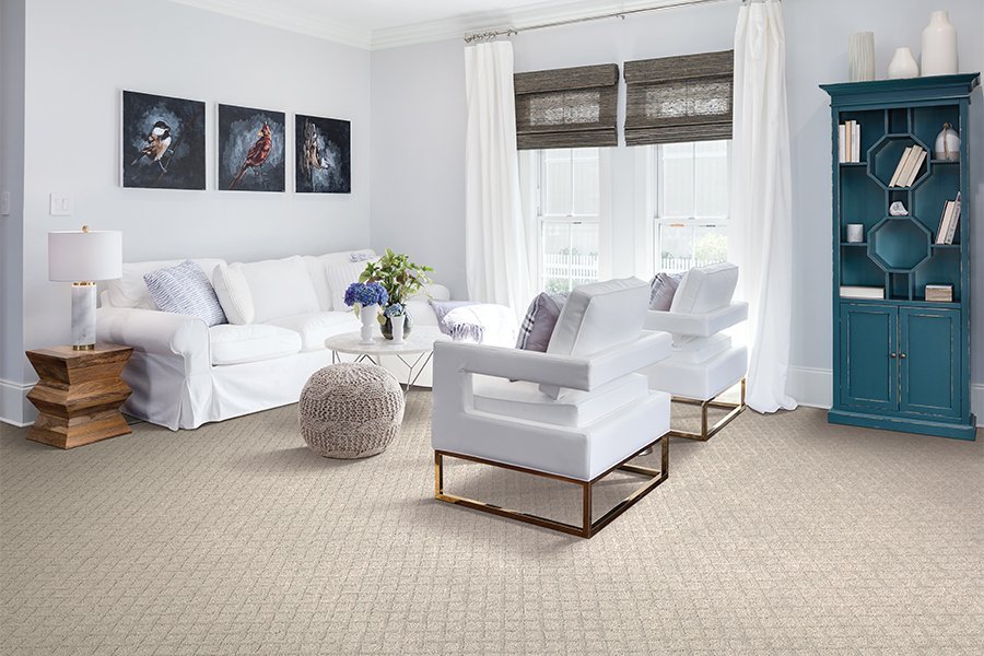 patterned carpet in bright living room