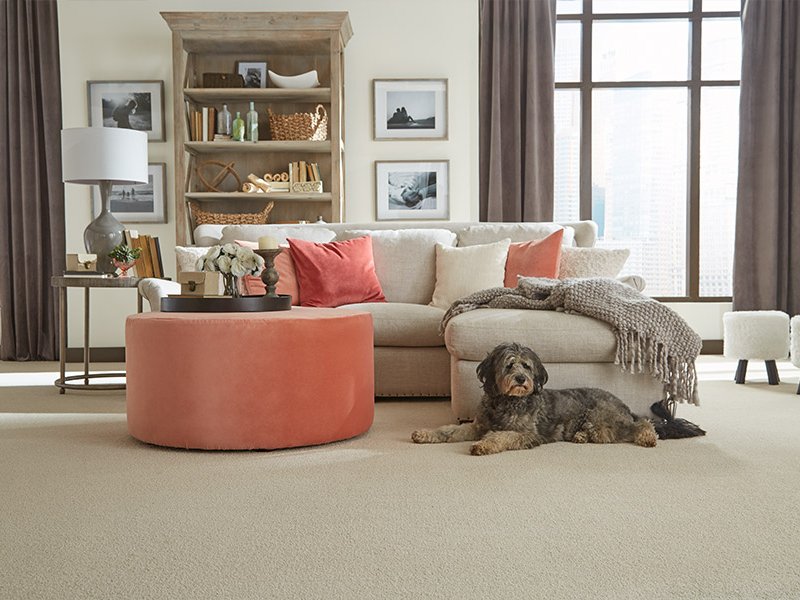 Carpet flooring in Genoa, OH from Genoa Custom Interiors