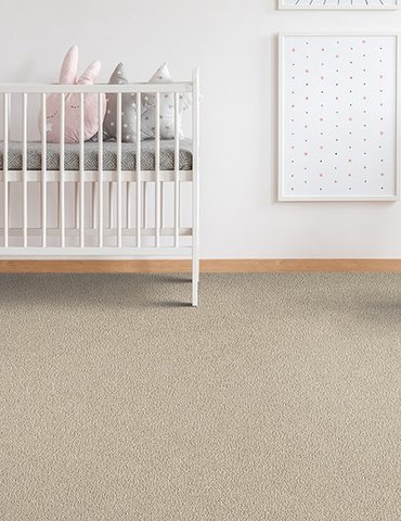 Carpeting in Wood County, OH from Genoa Custom Interiors