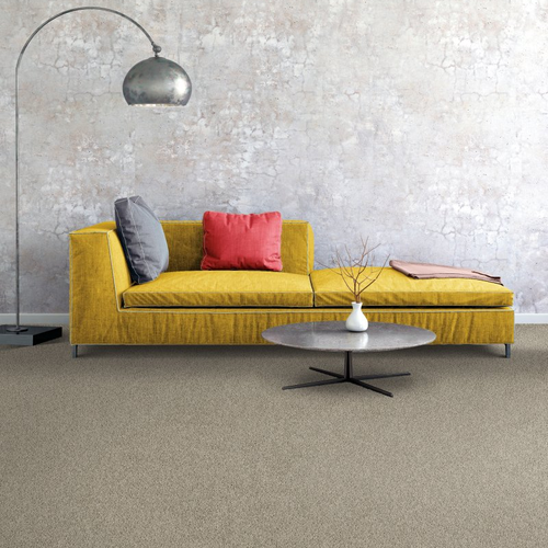 Living room with comfy carpet - Inspiring Option I -  Organic